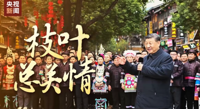 时政微视频丨枝叶总关情