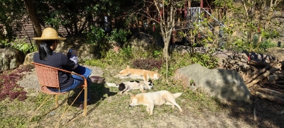 二丫 | 安家山林，烟火三餐（组图）