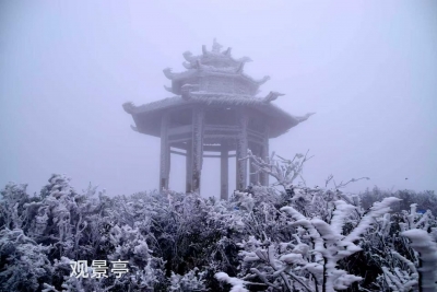 丁思深 | 话说镇平（八） ：迎阳报本话冬至