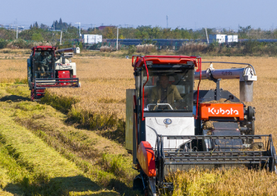 一习话·迈向“十五五”|“加快农业农村现代化步伐”