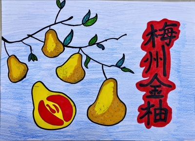 兴宁市第一小学刘伊扬丨绘画 