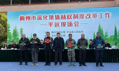“红证+绿证”！梅州首创林改模式→
