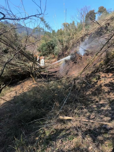 在林地熏烧蜂窝不慎引发火情，梅江区一人被处罚