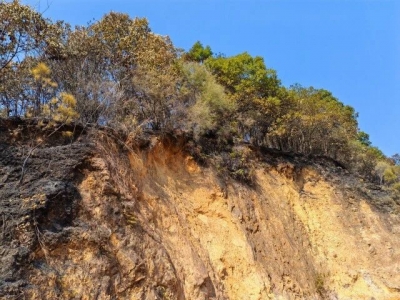 祭祀不慎引山火，兴宁黄槐镇一女子被刑拘！