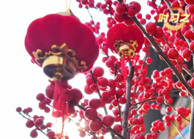 时习之丨“我最大的心愿，就是大家都能欢欢喜喜过好年”