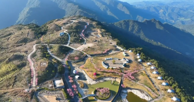 樱舞春风醉游人！铜鼓峰喊你来踏春赏樱啦