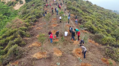 推动“产城景”深度融合！丰顺厚植生态底色绘就绿美画卷 筑牢高质量发展根基