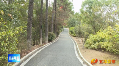 “护林防火唱起来”！五华护林员用山歌筑牢防火墙