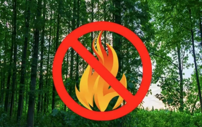 森林防火 再敲警钟！梅县公安快速查处一起因燃放烟花引发的山火案