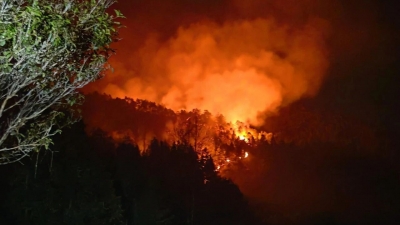 燃放烟花引发山火，梅县区一人被刑拘！