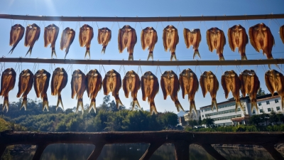 渐冻人钟展峰专栏 | 年糕