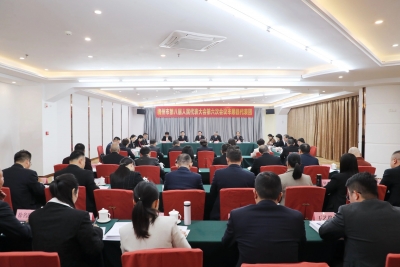 出席市八届人大六次会议的丰顺代表团代表热议市政府工作报告