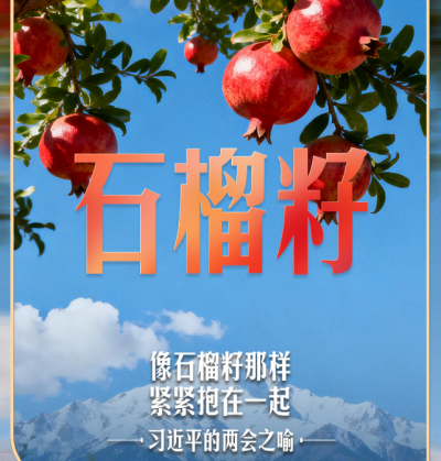 习近平的两会之喻｜像石榴籽那样紧紧抱在一起