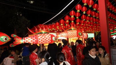 美哭！今晚平远变身“光影童话世界” ！2026年平远新春灯会正式亮灯启幕