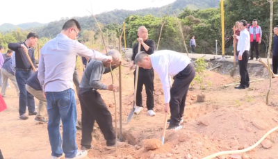 凝心聚力担使命 植绿添彩绘新篇！李瑞金率部分政协委员开展义务植树活动