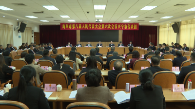 兴宁代表团认真审议政府工作报告：共谋“十五五”发展新篇章