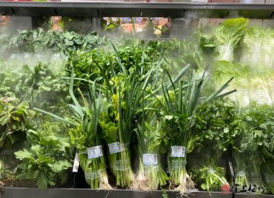 正月初七食“七样菜” ！客家习俗寄予美好祝愿