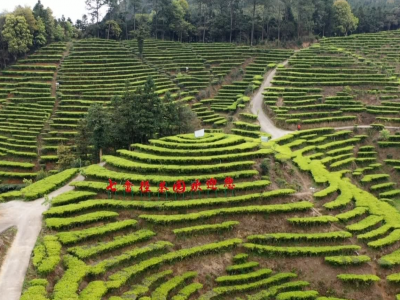 五华土特产“闯三关”：从深山珍品到市场热品的振兴之路