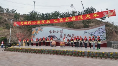 迎新春，庆佳节！梅县区桃尧镇举行主题文化活动