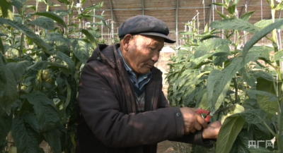 【习声回响】让老百姓幸福就是党的事业