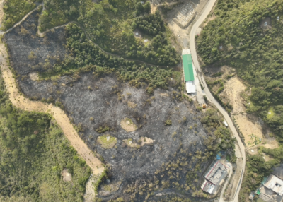 孩子玩火致山火，家长承担全部后果！真实案例→