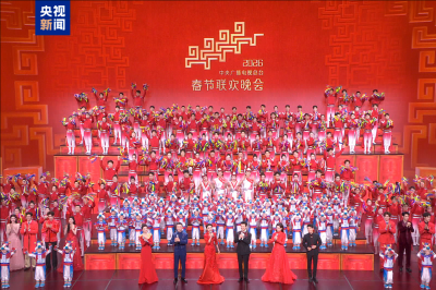 230.6亿次！2026年总台春晚海内外多项传播数据刷新纪录