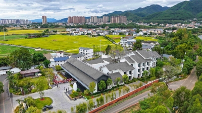 “一粒米”带动多元业态共生！梅州蕉岭：以丝苗米为媒，绘就现代农业新图景