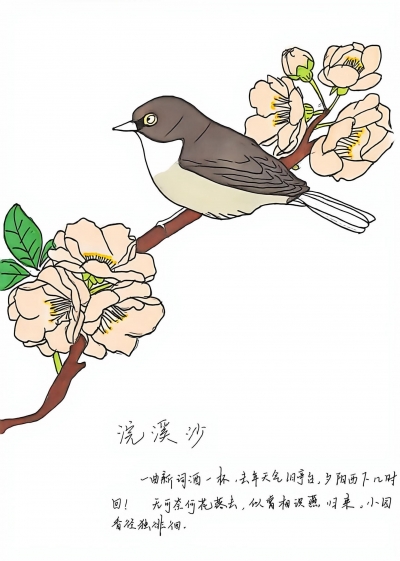 梅江北实双语学校刘子然丨绘画