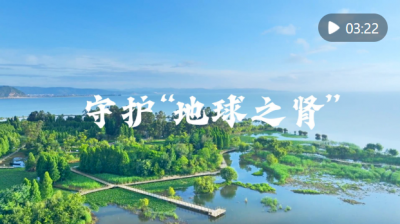微视频 | 守护“地球之肾”