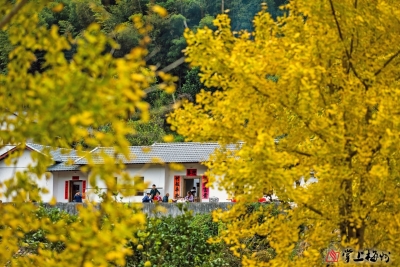 【人物志】“无轿不赴”的张医生（讲述/张汉敬  整理/饶小舒）