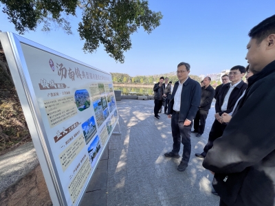 蒋鲲到丰顺县调研“百千万工程”：“面子”“里子”并重 推动传统村落振兴