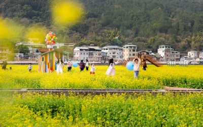 走！去梅县区南口镇侨乡村，奔赴一场“油菜花海”！