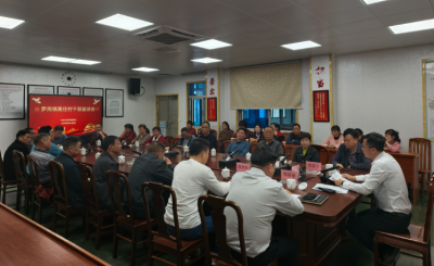 兴宁市罗岗镇召开离任村干部座谈会