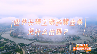 梅州V视丨世界长寿之都的黄金果，凭什么出圈？