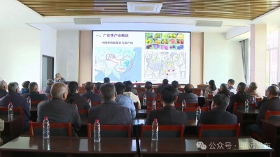 授技又送苗！平远河头镇这场三华李栽培技术培训干货满满