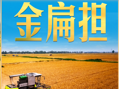 习近平的两会之喻｜“金扁担”，我把它理解为农业现代化