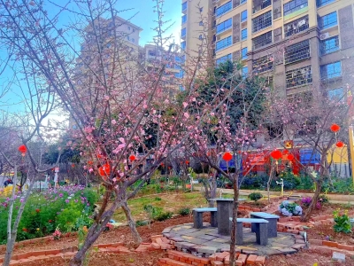 居民DIY高颜值“花园式”小区！梅江区瑞兴社区这波操作必须点赞