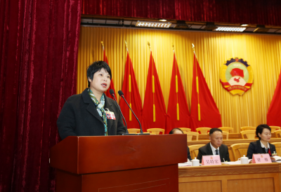 两会声音丨致公党梅州市委员会主委徐婉玲：推动低空经济发展 助力梅州乡村振兴