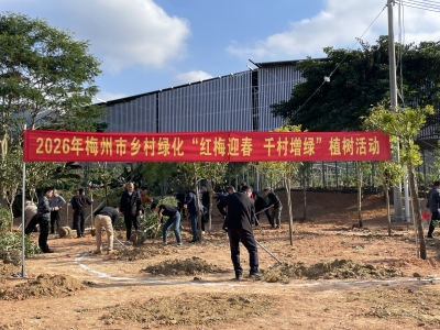 开启乡村绿化新征程！2026年梅州市乡村绿化“红梅迎春 千村增绿”植树活动举行