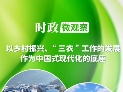 时政微观察丨常态化精准帮扶，这个新部署意义深远