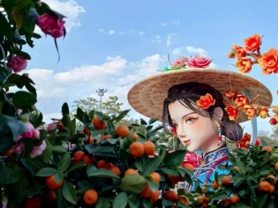 赵文有 | 客家笑话故事（四）：村花骂豺三