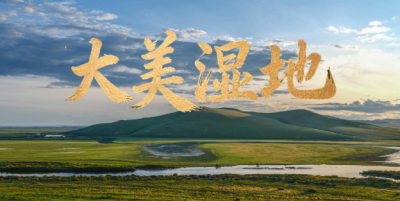 时政微视频丨大美湿地