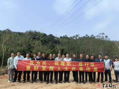 代表履“植”显担当！丰顺县大龙华镇义务植树助力绿美乡村建设