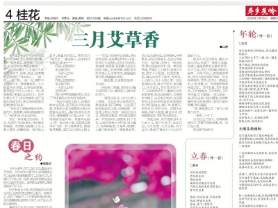 寿乡蕉岭·桂花