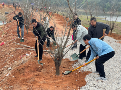 掀起新一轮乡村绿化热潮！梅州市各地踊跃参与2026年全省乡村绿化主题植树活动