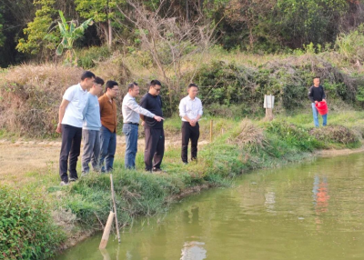 校地协同助力乡村振兴！嘉应学院联合梅州市农林科学院到丰顺调研指导水产养殖