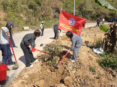 春风拂新绿  植绿正当时！平远县长田镇扎实开展机关联基层共建乡村绿化行动