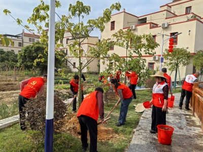 机关联基层，植树添新绿！丰顺县委党校持续推进乡村绿化结对共建活动