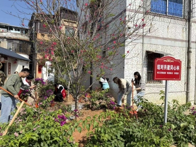 播撒新绿 不负春光！梅江区西郊街道掀起春季植树热潮