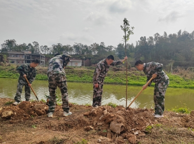 五华人武部组织应征青年植树添新绿
